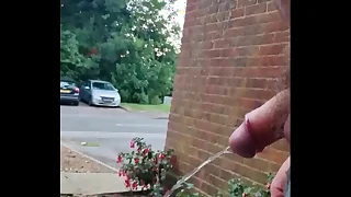 Chubby Blissful Guy attracting a adventurous piss broadly